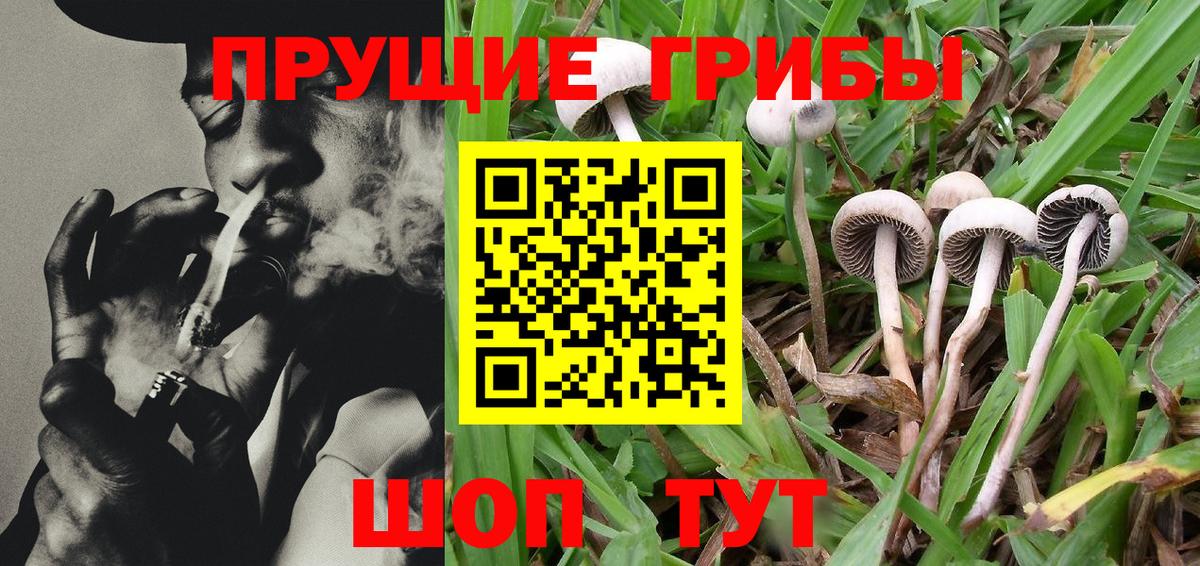 Псилоцибиновые грибы мухоморы Мурино