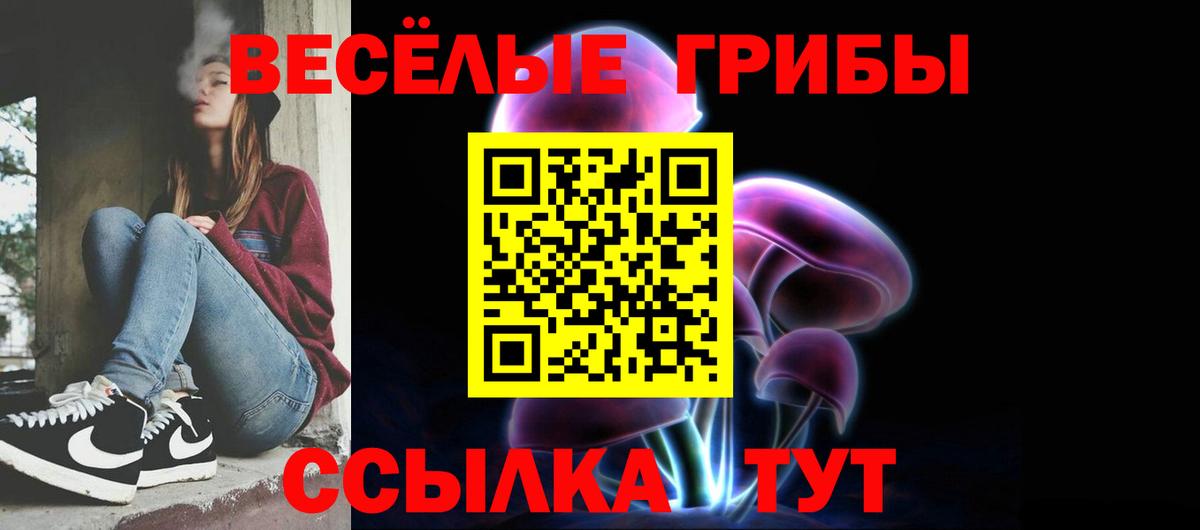 Мурино  Галлюциногенные грибы мухоморы  Вход с VPN  Псилоцибиновые грибы мухоморы 